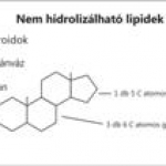Nem hidrolizálható lipidek
